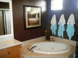 bathroom remodel
